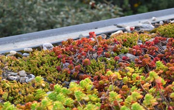 the cost of Glascote green roof installation